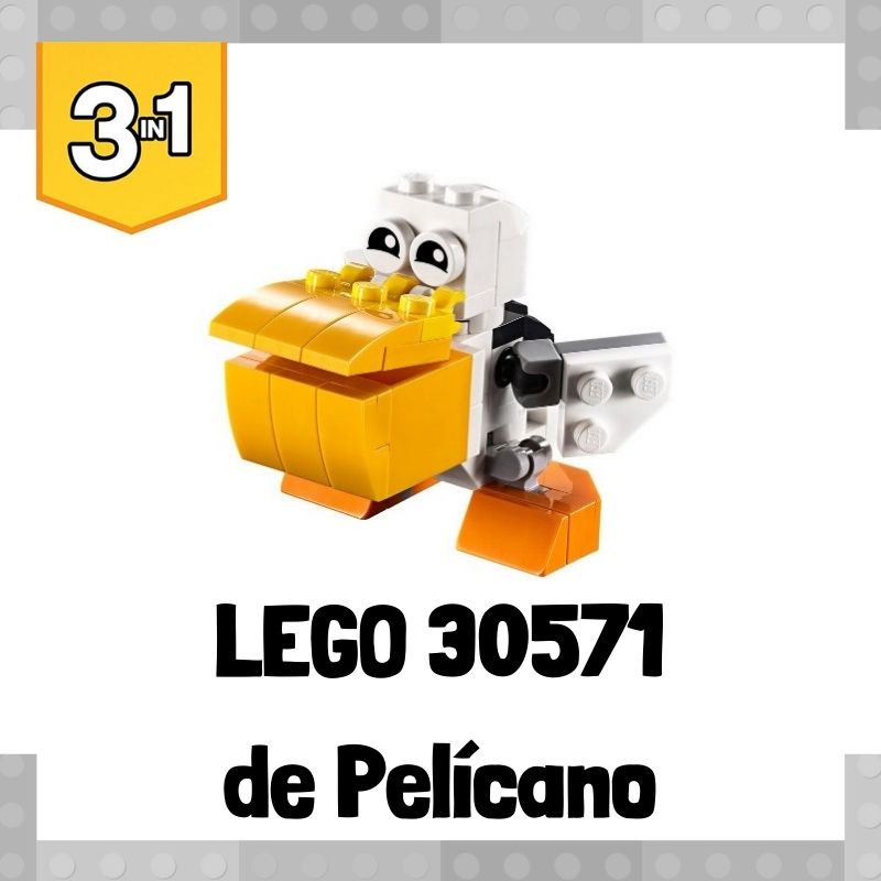Lee más sobre el artículo Set de LEGO 30571 3 en 1 de Pelícano