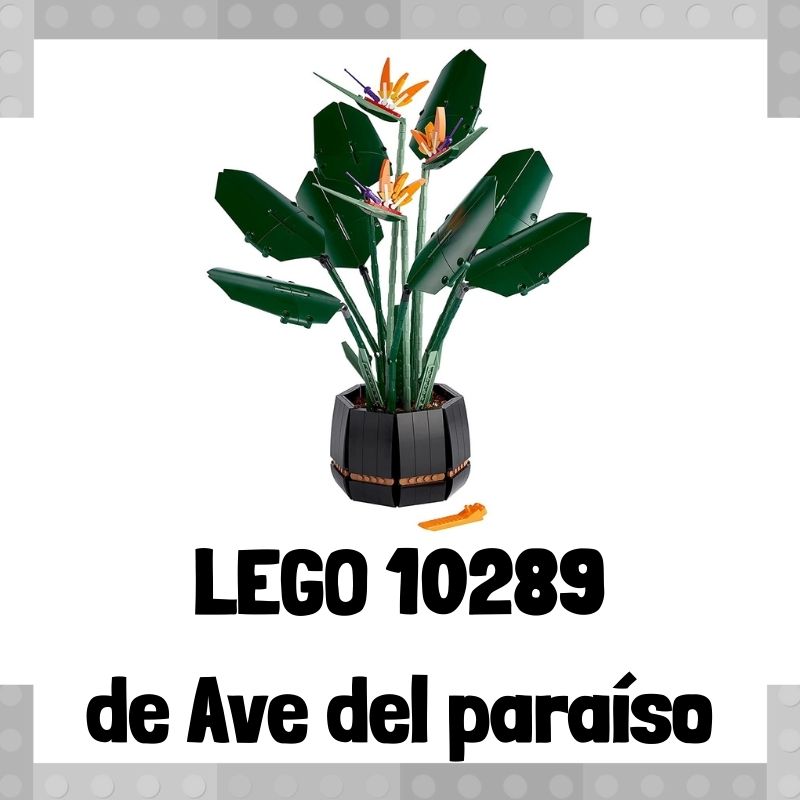 Lee más sobre el artículo Set de LEGO 10289 de Ave del paraíso