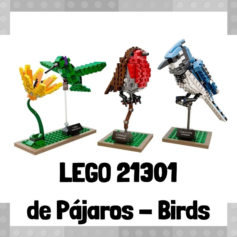Lee más sobre el artículo Set de LEGO 21301 de Pájaros – Birds