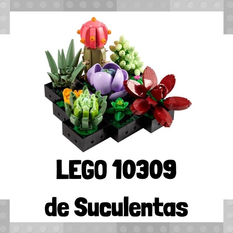 Lee mÃ¡s sobre el artÃ­culo Set de LEGO 10309 de Suculentas