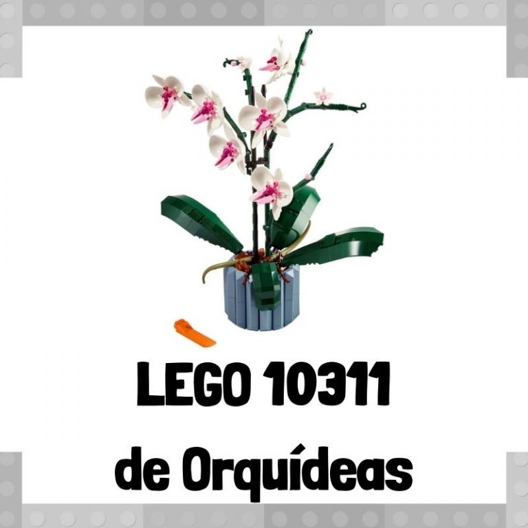 Lee más sobre el artículo Set de LEGO 10311 de Orquídeas