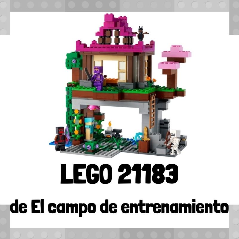 Lee más sobre el artículo Set de LEGO 21183 de El Campo de Entrenamiento de Minecraft