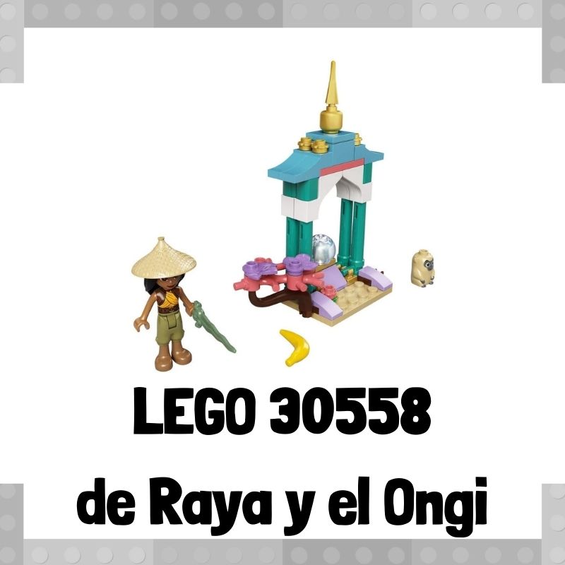 Lee más sobre el artículo Set de LEGO 30558 de Raya y el Ongi de Raya y el último dragón