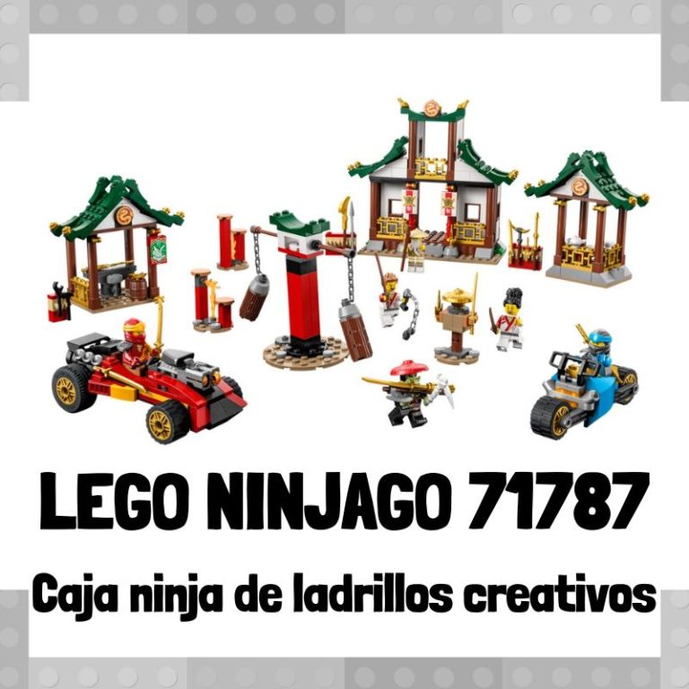 Lee más sobre el artículo Set de LEGO 71787 de Caja ninja de ladrillos creativos de LEGO Ninjago